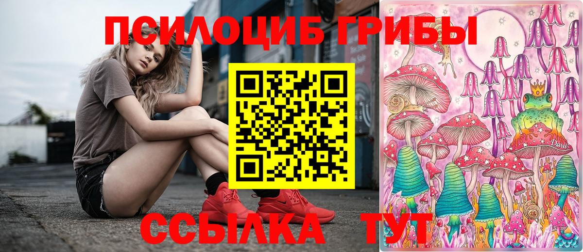 Псилоцибиновые грибы мухоморы Узловая