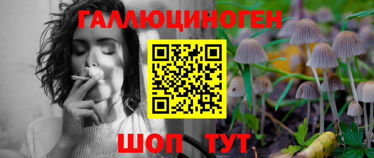 Галлюциногенные грибы Psilocybe  Вход с VPN  Узловая 